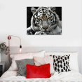 thumbnail image 5 of Acheng  Black White Tiger Wall Art for Living Room Brown Eyed Tiger Painting Prints on Canvas Wild Animal Picture Art Decor Home Office Men Bedroom Modern Decoration Ready to Hang 20x16in, 5 of 6
