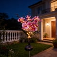 thumbnail image 4 of Luces solares de jardín Orquídea Phalaenopsis exterior, estaca decorativa de 5 luces alimentada por energía solar, LED multicolor, 2 modos de iluminación, encendido automático, resistente a la, 4 of 6