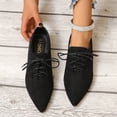 thumbnail image 6 of HTHLVMD Lace Up Dress Flats, Faux Suede Lace Up Pointed Toe Flats Casual Dress Commuting, Decorative Metallic Ankle Strap Single Shoes Holiday Travel Wearing, Classic Comfort Footwear, Black 9, 6 of 6