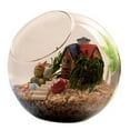 thumbnail image 1 of Dewadbow Clear Round Glass Flower Hanging Vase Ball Planter Terrarium Bottle, 1 of 6