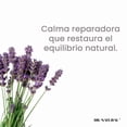 thumbnail image 3 of Dr. Natural Jabón Puro de Castilla Multiusos 473 ml Lavanda A Base de Plantas y Aceites Naturales, 3 of 6