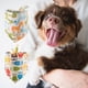 thumbnail image 5 of Greeniant Pet Slobber Bufanda Algodón Toalla Ajustable Interior Exterior Pequeños Animales Collar Ropa para mascotas Tipo 2 Greeniant PT003841-02, 5 of 6