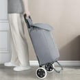 thumbnail image 3 of Mainstays 1-Compartment Shopping Cart, Metal Frame, Removable Bag, Drawstring Bag with Back Zipper Pocket, Converts to Dolly, 3 of 8