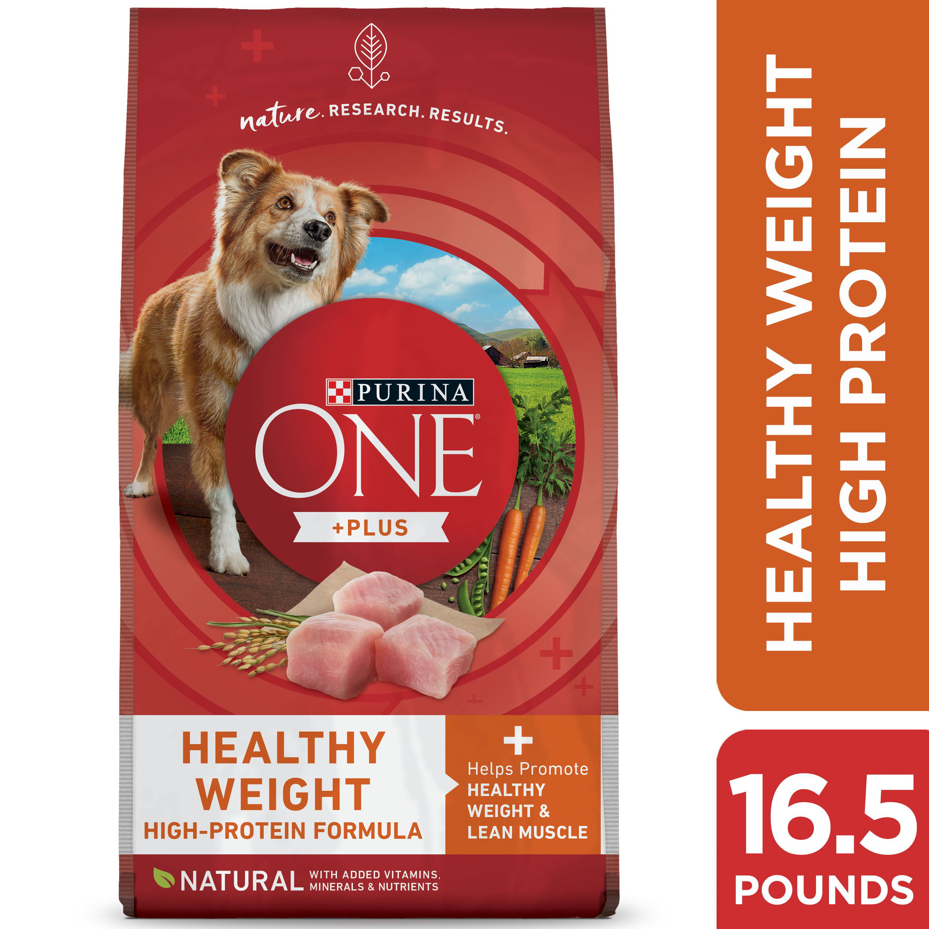 healthiest dog food