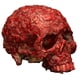 thumbnail image 1 of Cráneo Decorativo Costra de Sangre REV, 1 of 1