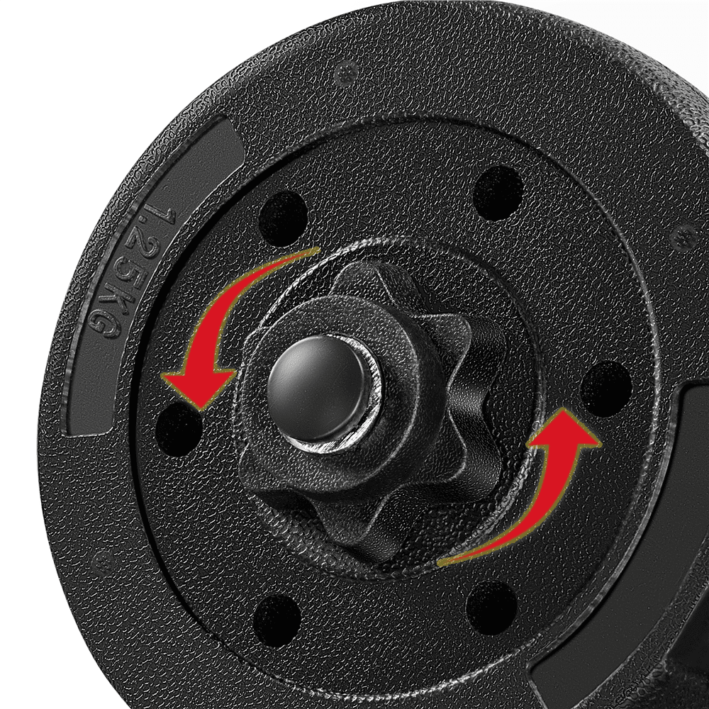 Renwick 33 lb Adjustable Dumbbell Weight Set for Home Gym,Black