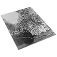 thumbnail image 3 of Print: Spring Flowers In The National Capitol, 1929, 3 of 4