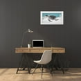 thumbnail image 3 of Fay, Mela 18x11 White Modern Wood Framed Museum Art Print Titled - Turtle, 3 of 4