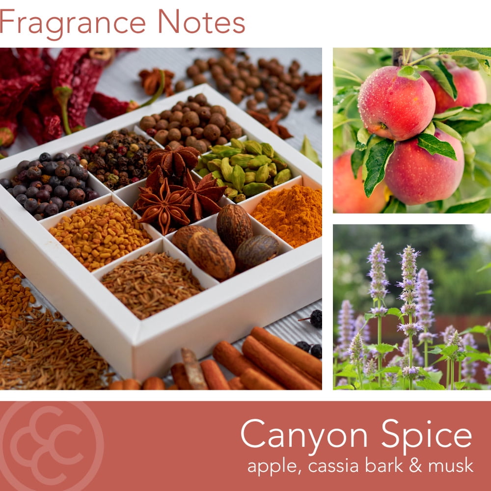 Colonial Candle Canyon Spice 14.5Oz, 3 Wick Candle, Orange