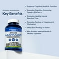 thumbnail image 6 of Stonehenge Health Dynamic Mushrooms - 100% Fruiting Bodies & Extracts - Lion’s Mane, Chaga, Maitake, Shiitake, Reishi - Nootropic Brain & Focus, Immune System Booster No Mycelium, 60 Veggie Capsules, 6 of 11