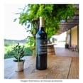 thumbnail image 4 of Vino Tinto Valdubón crianza ribera del duero 750 ml, 4 of 4