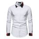 thumbnail image 1 of Hombres Otoño Colorblock Casual Business Slim Fit Blusa de manga larga Turndown Top Pompotops  oipoqjl25848, 1 of 9