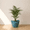 Blue, variant on Ecobo 12.6 inches Eco-Friendly Round Pot Planter Onda Indoor/Outdoor use, Durable, Versatile & Lightweight, Designed by Brazilian Artisans, Contemporary All-Weather Design –Black