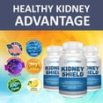 Kidney Restore Kidney Shield Omega-3 Supplement Supports Kidney Health ...
