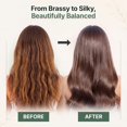 thumbnail image 6 of Herbishh Blue Shampoo & Conditioner Set (500 ml Each), Neutralizes Brassy & Orange Tones, Shampoo & Conditioner Duo for Brunette, Color Treated & Highlighted Hair, Hydrating Care to Enhance Shine, 6 of 7
