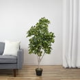 thumbnail image 2 of Northlight 4.25' Unlit Artificial Potted Two Tone Scheffera Plant Tree, 2 of 4