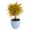 Yellow, variant on Realistic Looking Eye-catching Small Fake Plant Mini Artificial Plant Faux Plants in Pot for Home Living Room Table Bedroom Desk Bathroom Shelf Farmhouse Decor