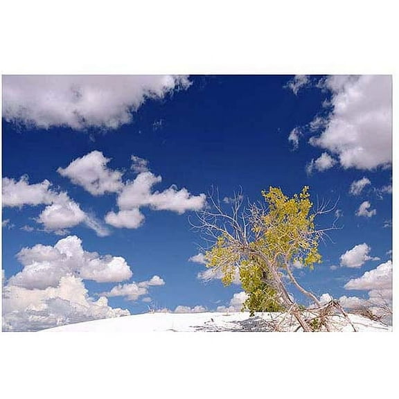 Trademark Art "Clouds and Loneliness" Canvas Art by Philippe Sainte-Laudy