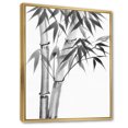 thumbnail image 3 of Designart 'Vintage Black and White Bamboo' Traditional Framed Canvas Wall Art Print, 3 of 5