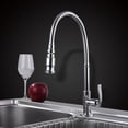 thumbnail image 3 of Flexible Neck for Garden, Laundry & Bar Use 360° Rotating Outdoor Kitchen Faucet, 3 of 5