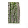 thumbnail image 1 of Decoración de árbol de musgo de árbol de corteza Artificial Natural, 50x30cm, 1 of 5