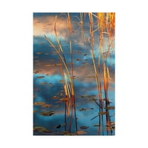 Trademark Fine Art 'Cattails At Dusk' Canvas Art by Anthony Paladino
