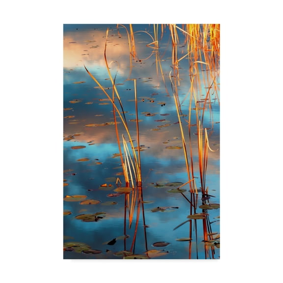 Trademark Fine Art 'Cattails At Dusk' Canvas Art by Anthony Paladino