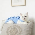 thumbnail image 6 of Cat Recovery Suit for After Surgery, Breathable E-Collar Alternative for Cats, Anti-Licking Spay Neuter Recovery Shirt for Cats Kittens, Blue, 6 of 7