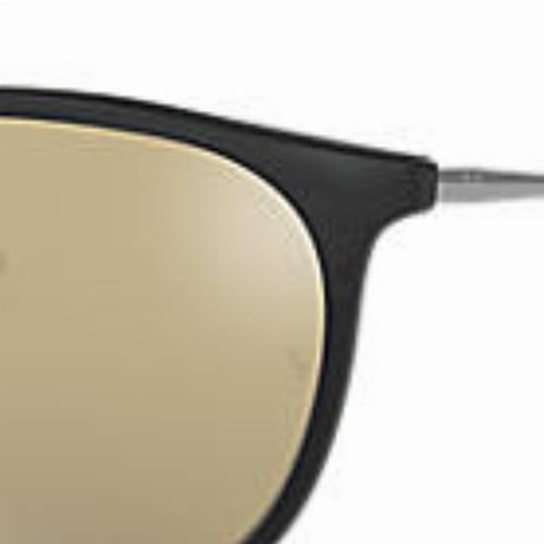 Ray-Ban Ladies Erika Classic Brown Gradient Sunglasses