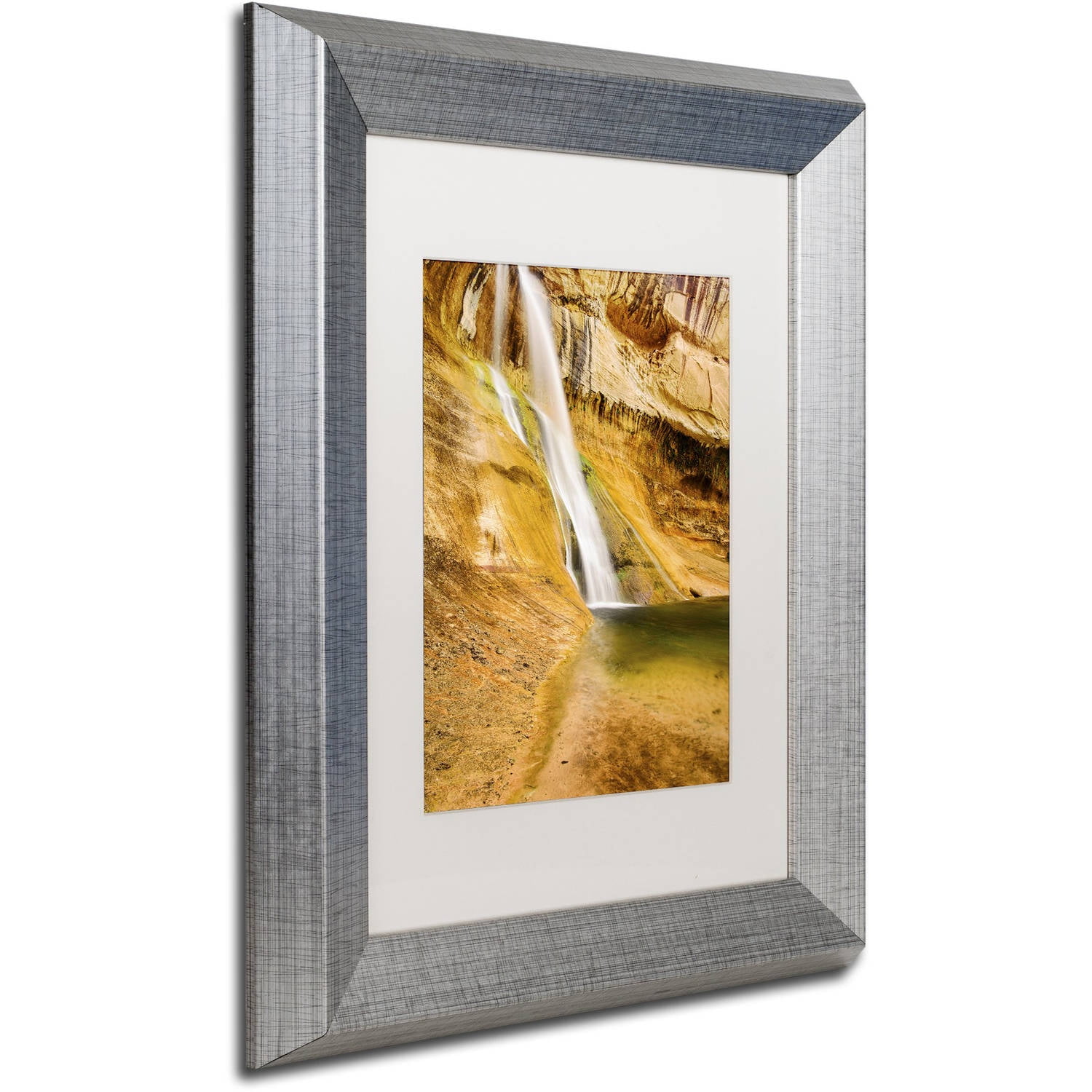 Trademark Fine Art "Desert Oasis" Canvas Art by Michael Blanchette Photography White Matte, Silver Frame