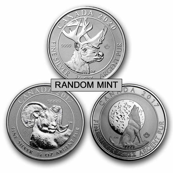 3/4 oz Silver Coin - Random Mint