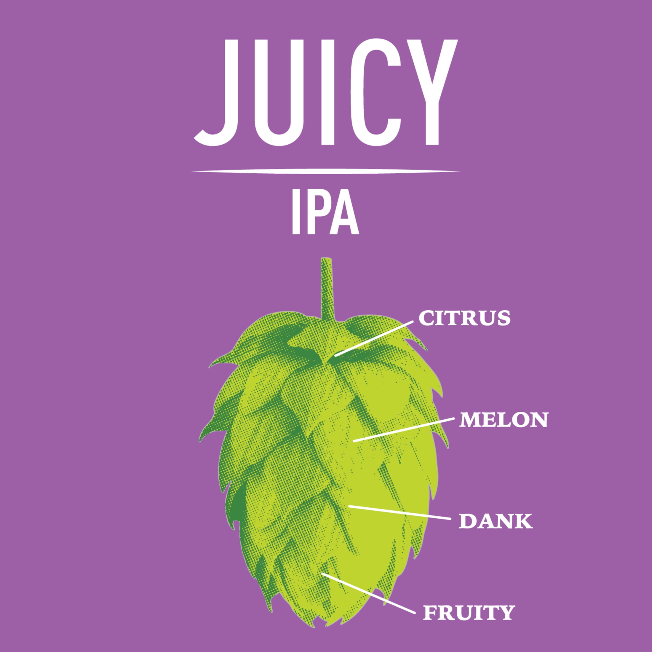 Squatters Juicy IPA Craft Beer, 19.2 fl oz Can, 5% ABV