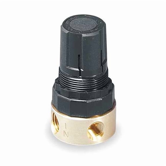 Wilkerson Air Regulator,1/4 In. NPT,14 cfm,300 psi RB3-02-F000