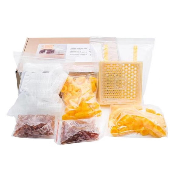 Beekeeping Queen Rearing Incubation System Box Cage Complete Queen Rearing