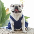 thumbnail image 4 of Pet Dog denim Clothes,Puppy Denim Dress with D-Ring & Cute Bowknot Costume for Small Dogs & Cats,T-Shirt Stylish Pet Summer Apparel & Dog Harness Dress, 4 of 9