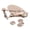 Copper, variant on Metal Gear Rolling Ruler for Drafting Leather Marking Tool Adjustable Tracing Wheel Stencil