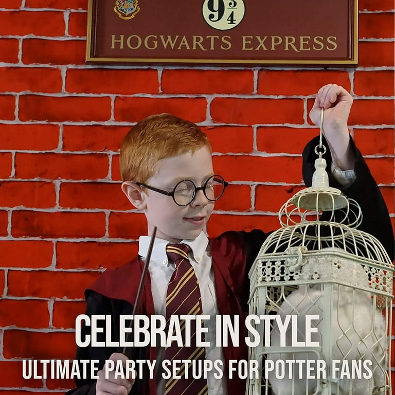 Harry Potter Backdrops & Scene Setters