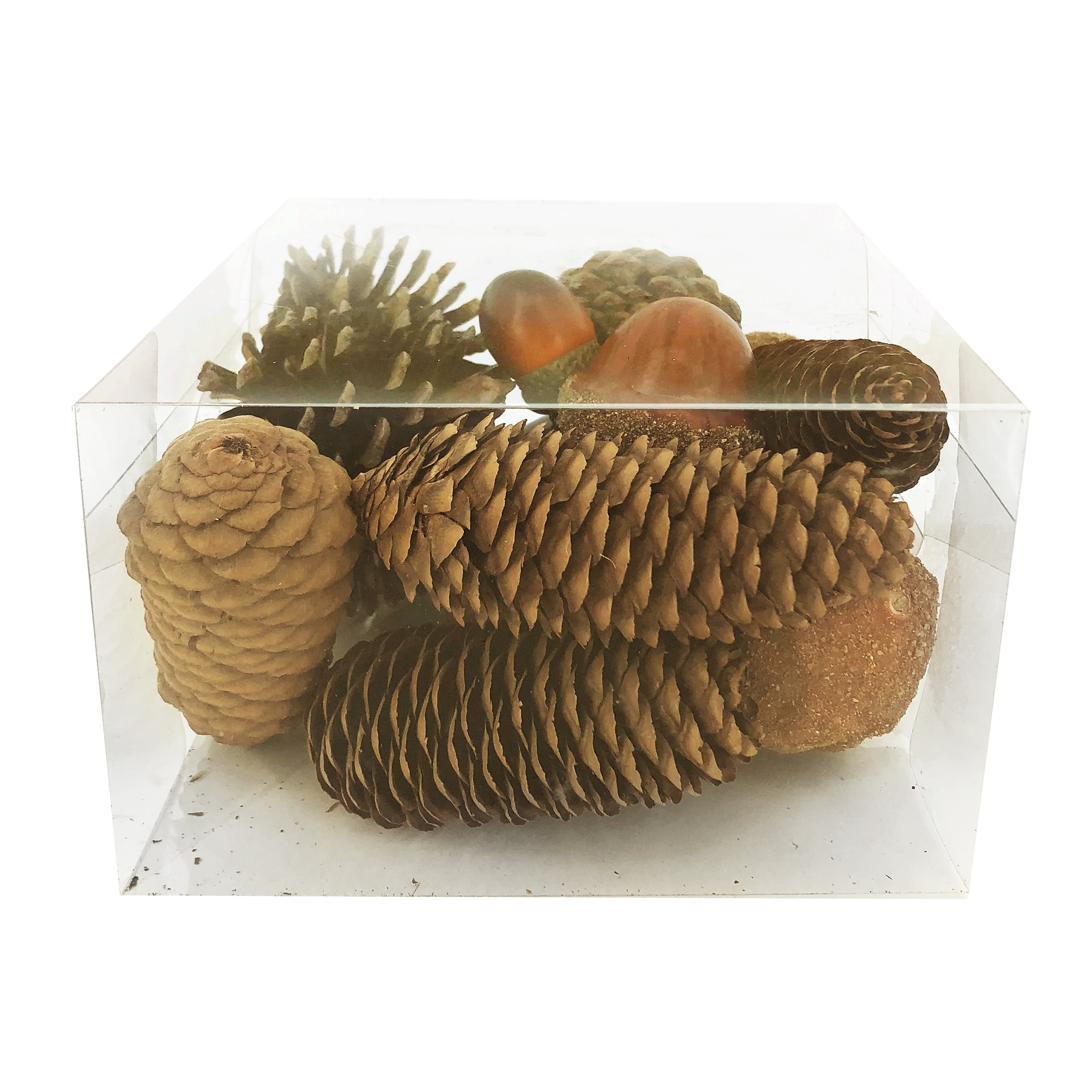 WAY TO CELEBRATE! Way To Celebrate Harvest Acorn Pinecone Boxed Set 17 ct