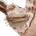 thumbnail image 6 of Northlight Spring Chicken Figure - 15.75" - Brown and Orange, 6 of 9