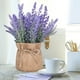 thumbnail image 1 of onlyliua Liquidación de Rebajas de Hoy Plantas Artificiales En Macetas, Miniplantas En Flora y Maceta En Decoración Del Hogar, Fiesta, Boda, Jardín, Mesa, Oficina, Patio, 1 of 6