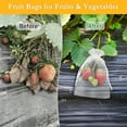 thumbnail image 4 of 100pcs 4x6inch Mesh Fruit Protection Bags, Breathable Reusable Garden Netting Bags for Fruit Trees, Anti-Pest Organza Netting Plant Cover with Drawstring (White), 4 of 12
