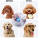 thumbnail image 4 of Cepillo de baño para perros y gatos, cepillo de aseo de mascotas de doble cara, peine para perros para masaje y eliminación de pelo muerto para perros y gatos de pelo corto o largo, azul, 4 of 5