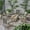 Mixed Black/Light Gray Washed, variant on Danelle Outdoor 6 Piece Wood and Wicker Chat Set with Fire Pit, Mixed Black and Light Gray