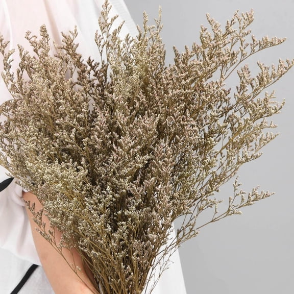 Dried Flowers Bouquet, Dry Caspia Flower Bundle, Floral Lavender, Babys Breath Artificial Arrangements for Wedding Decor, Door Wreath, Home Party Table Vase Decoration (Natural, 17'')