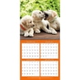 thumbnail image 4 of Turner Licensing, Puppies Playful Photo 2024 Mini Wall Calendar, 4 of 4