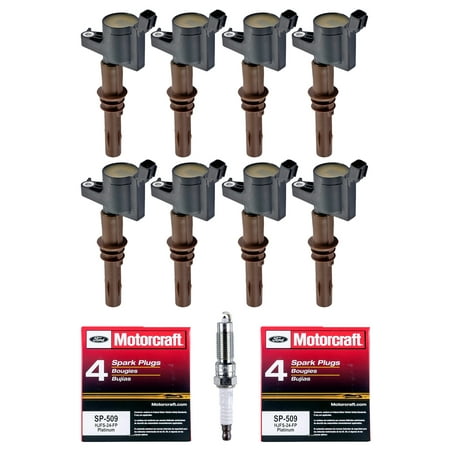 Set of 8 Ignition Coils with Brown Boot & Motorcraft Spark Plugs SP509 For 2008-2010 Ford F-150 5.4L V8 Compatible with DG521 FD509
