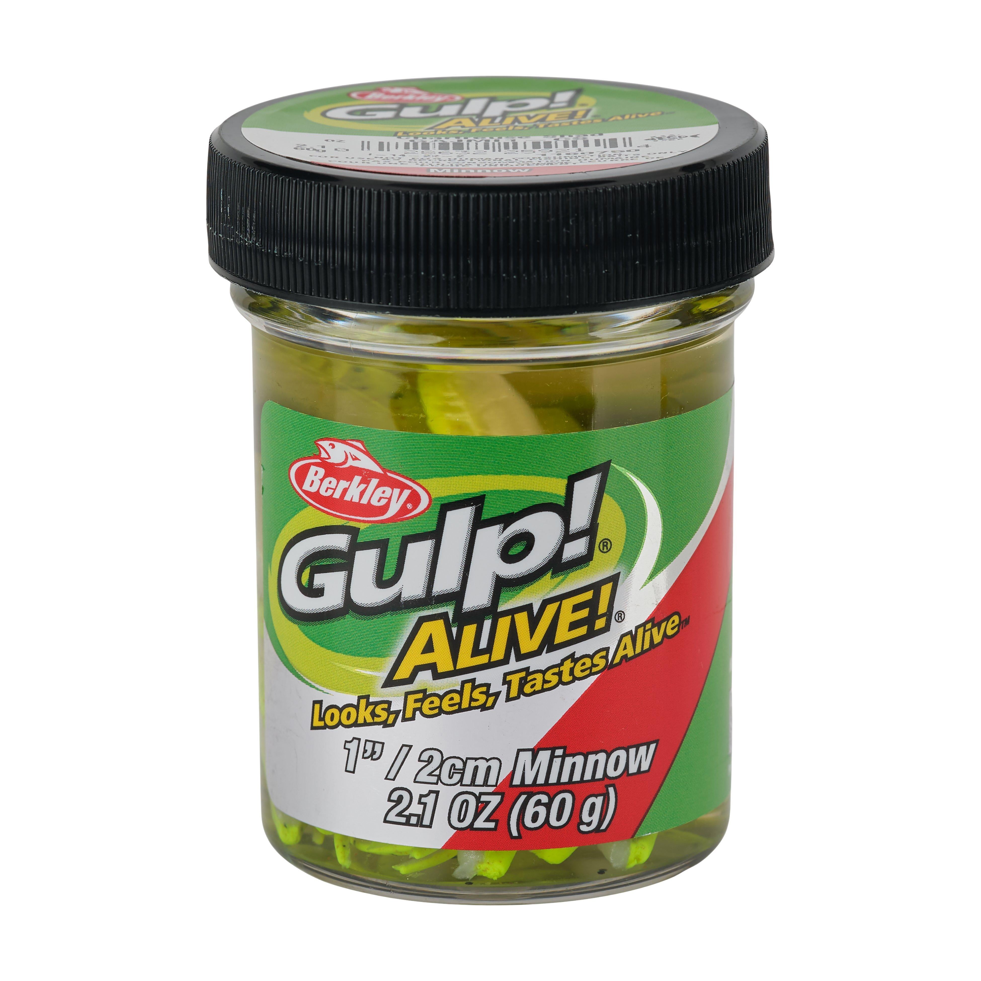 (2 pack) Berkley Gulp! Alive Minnow Soft Bait