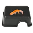 Reptiles Plastic Hide Box Cave for Lizards Snakes Rodents Spiders