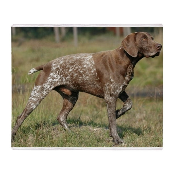 CafePress German Shorthair Pointer Full Throw Blanket Soft Fleece Throw Blanket, 50"x60