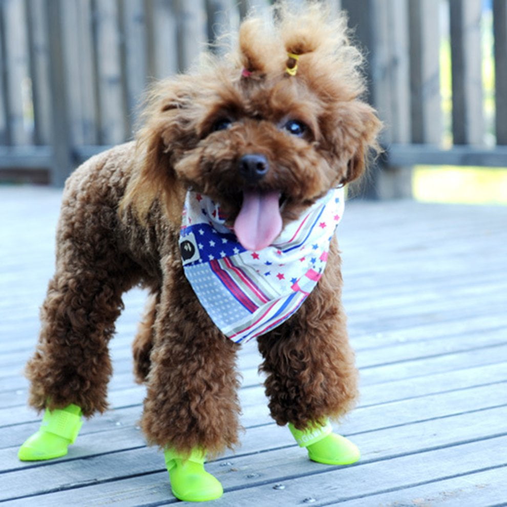 little boots for dogs